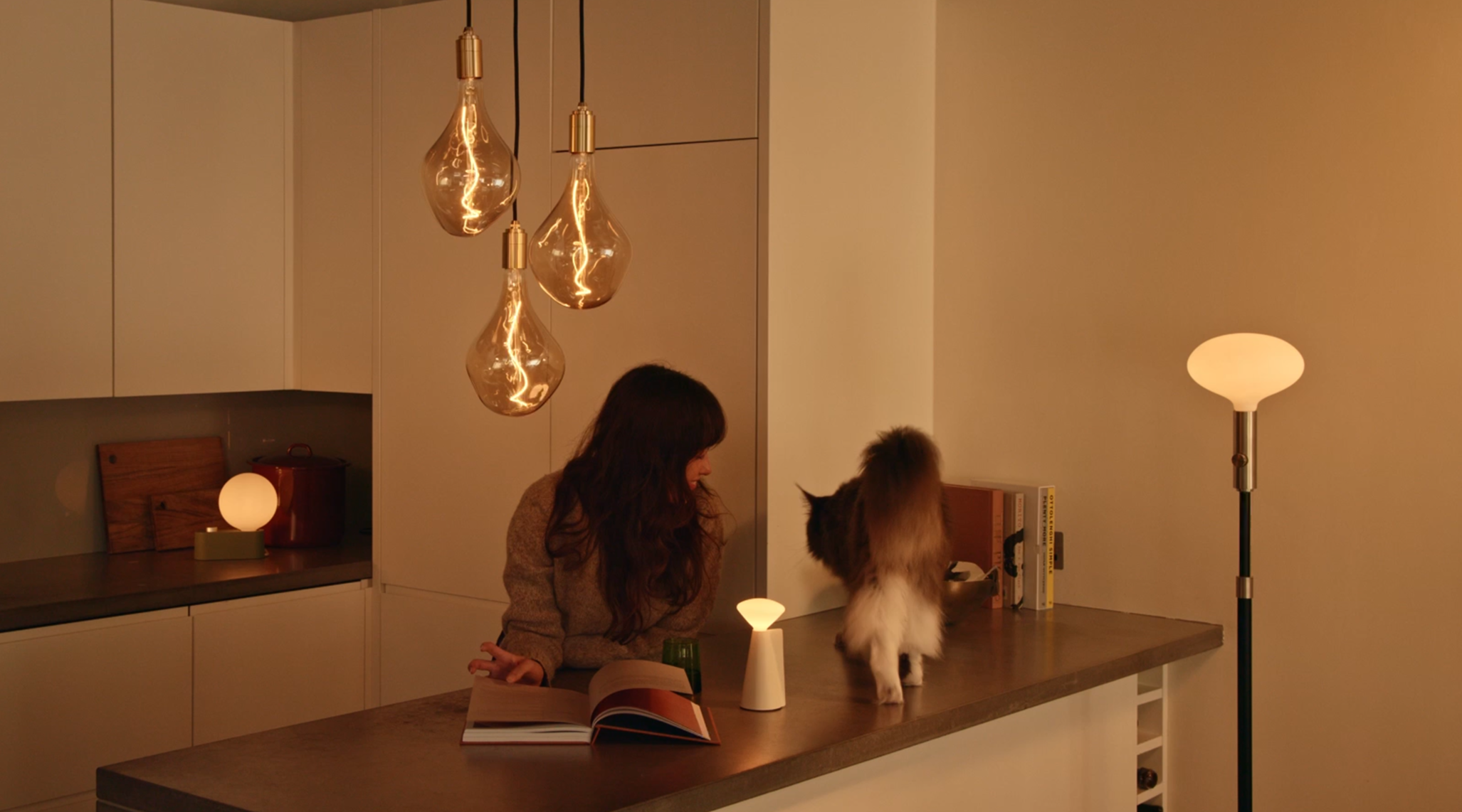The Science Behind the Healthy Home