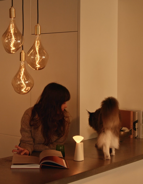 The Science Behind the Healthy Home