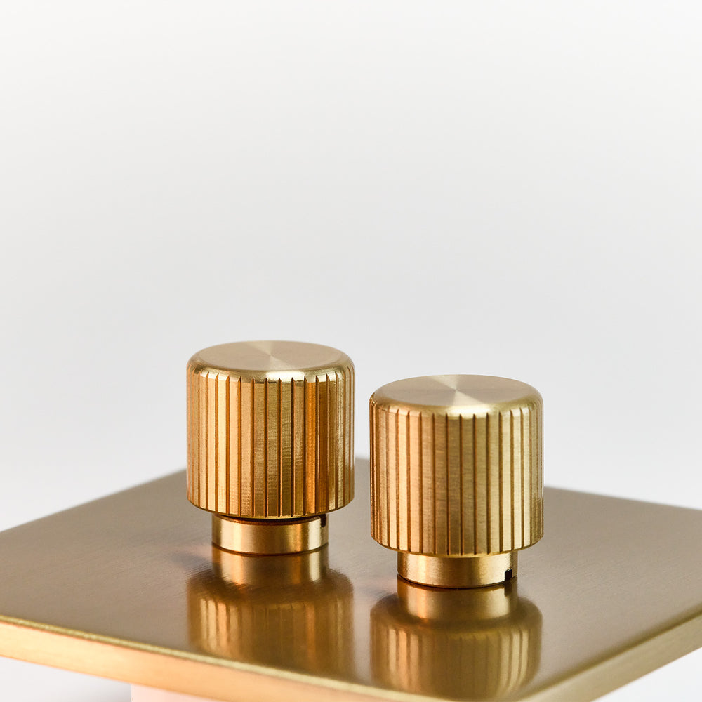 Double Rotary Wall Dimmer in Brass