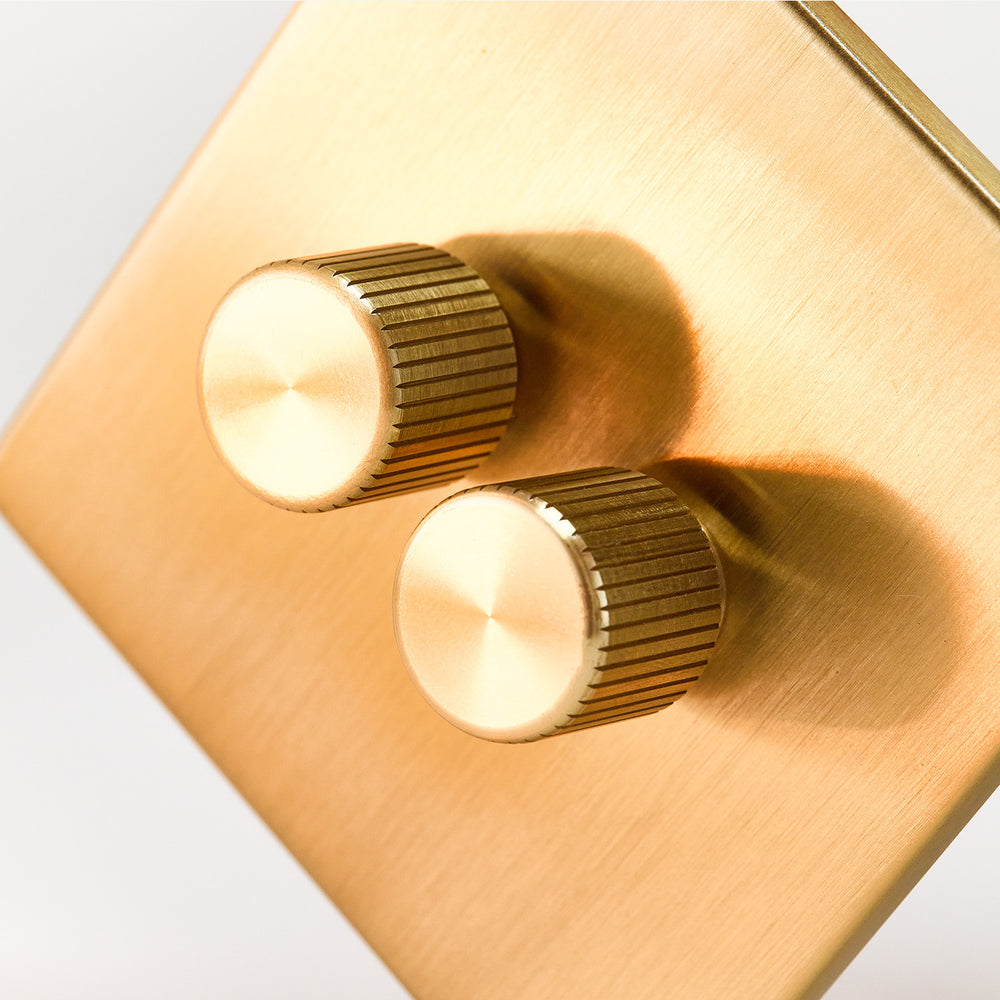 Double Rotary Wall Dimmer in Brass