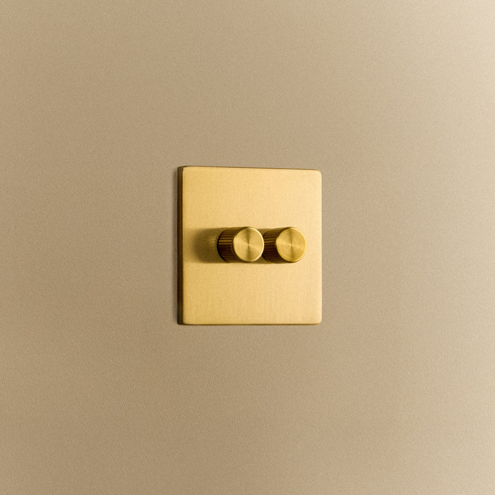 Brass Dimmer on Wall
