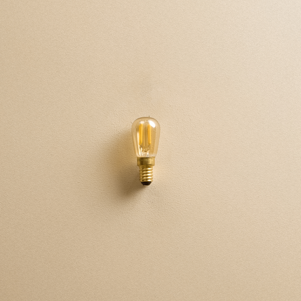 Pygmy E14 LED Bulb - Warm and Light LED | Tala