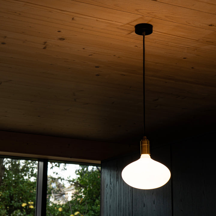 Oval II Pendant Light in Oak