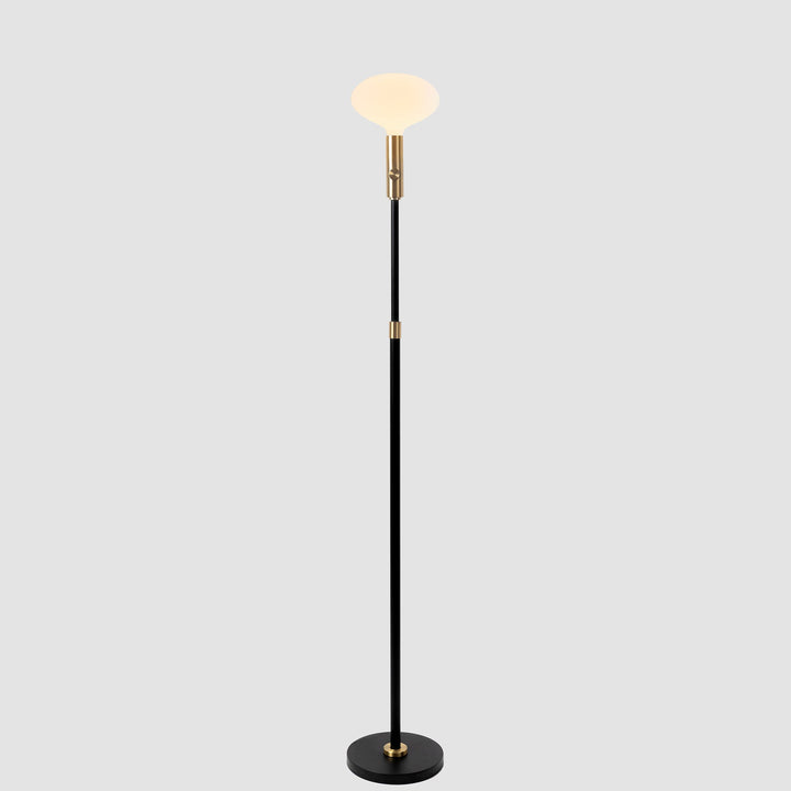 Poise Adjustable Floor Lamp in Brass + Oval II